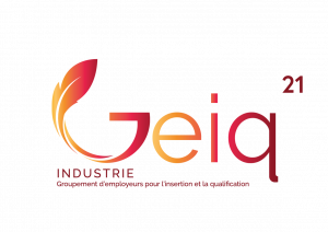 Logo Geiq industrie 21